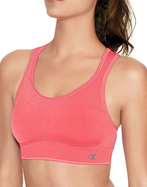 Champion Women's Dazzle Sports Bra, White, Large : : Clothing,  Shoes & Accessories