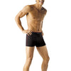 Hanes Mens TAGLESS Short Leg Sport Styling Boxer Briefs 6-Pack